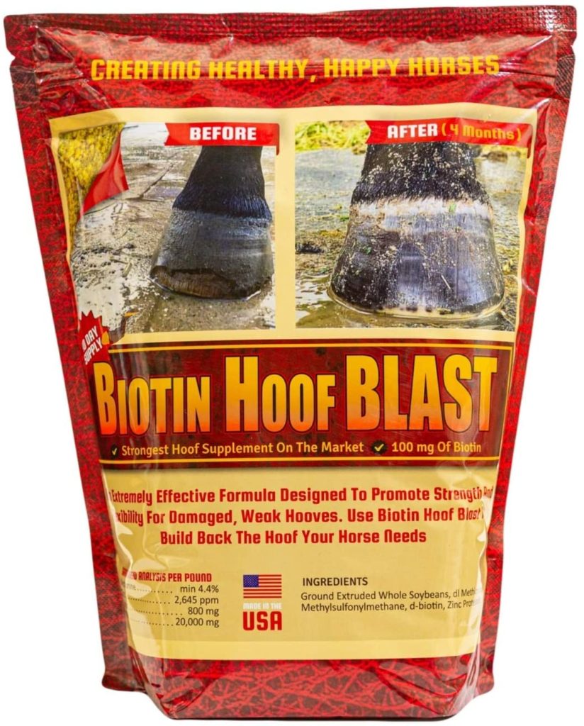 Horse Hoof Supplements