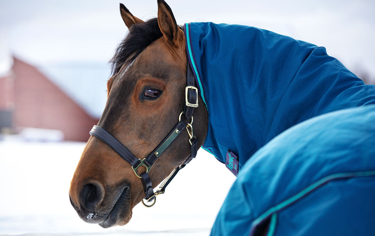 how to measure a horse blanket without a tag