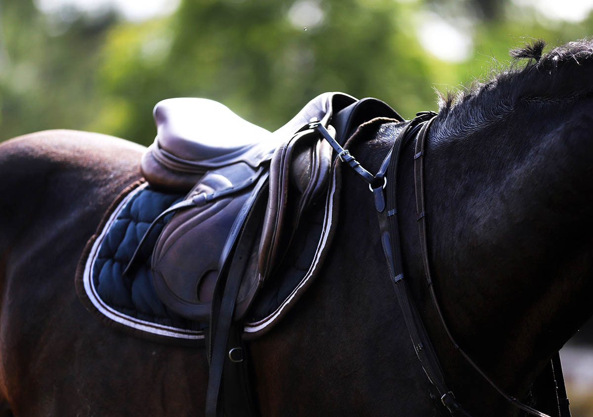 how to put tack on a horse