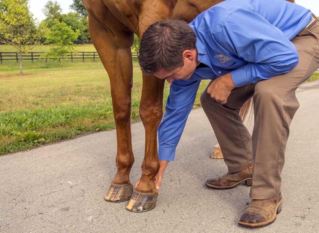 how long to soak hoof abscess