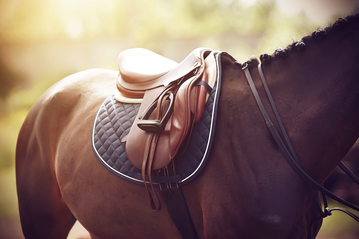 what color tack for a chestnut horse