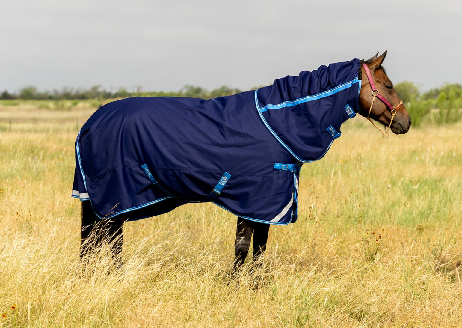 how to measure a horse for a winter blanket