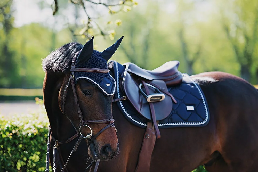 what is a horse tack