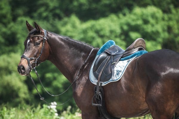 how to tack up a horse western