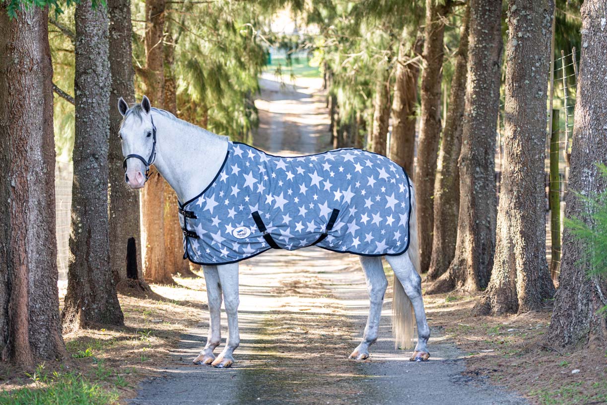 how should a horse blanket fit