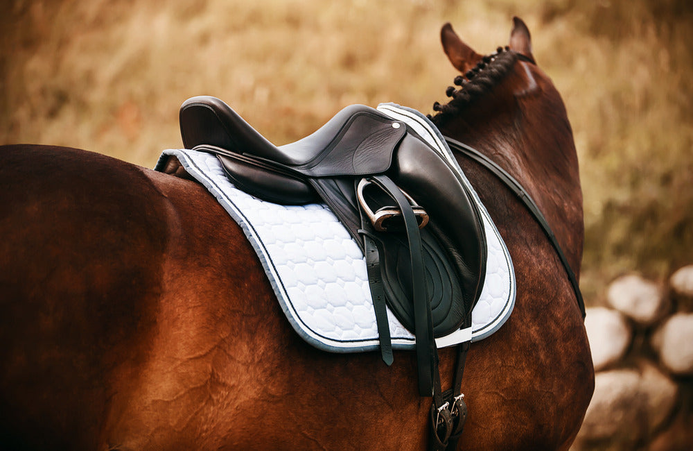 what colour tack for a chestnut horse