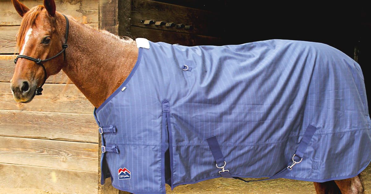 how to blanket a horse