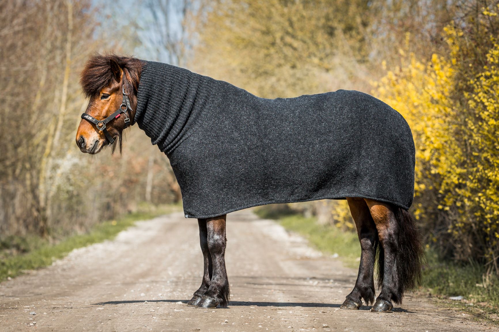 how long can you leave a magnetic blanket on a horse