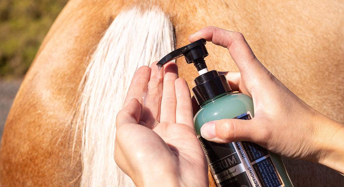 Horse shampoos for skin infections