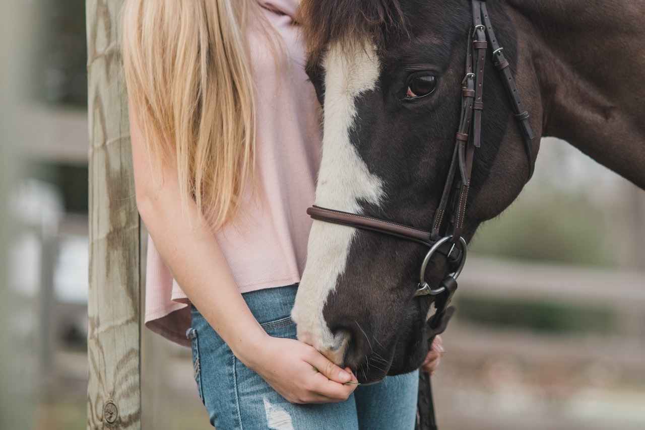 Horse & Care