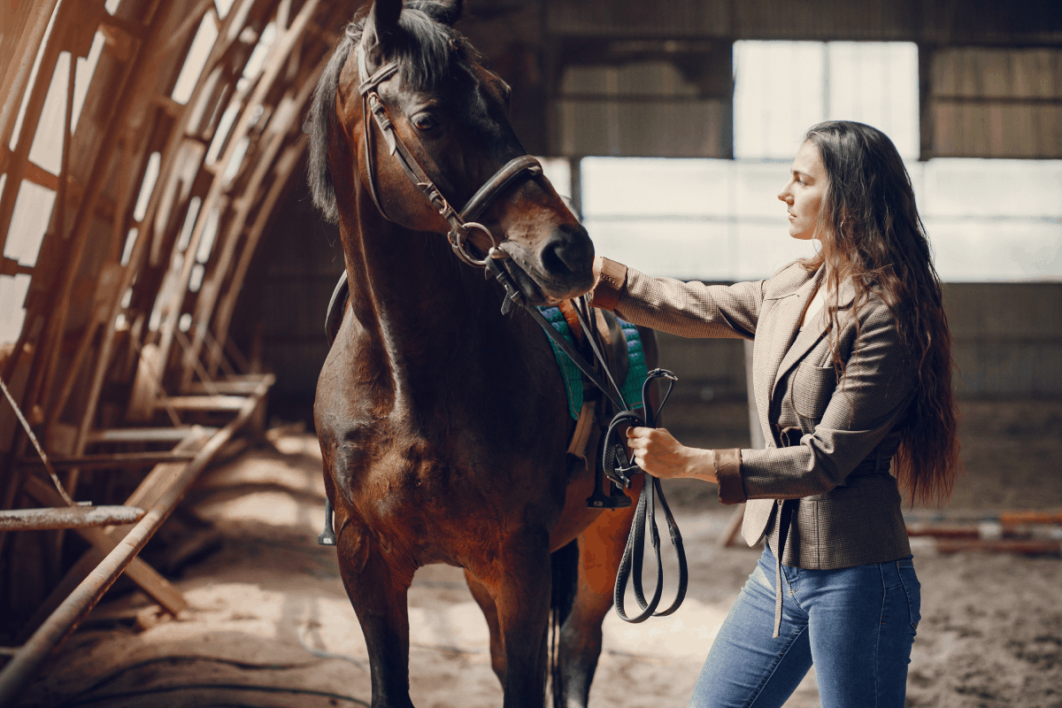 bonding with older horses