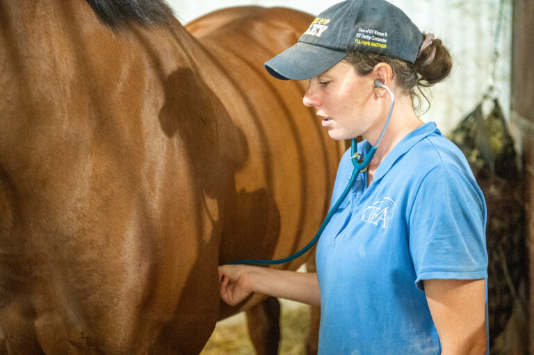 senior horse in cold climates