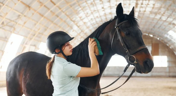 daily horse observation tips Daily Horse Observation Tips for Better Equine Care