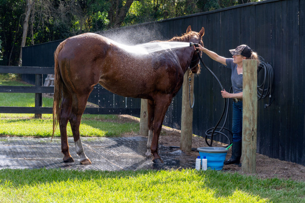 daily horse record keeping Daily Horse Record Keeping: Track Health and Progress