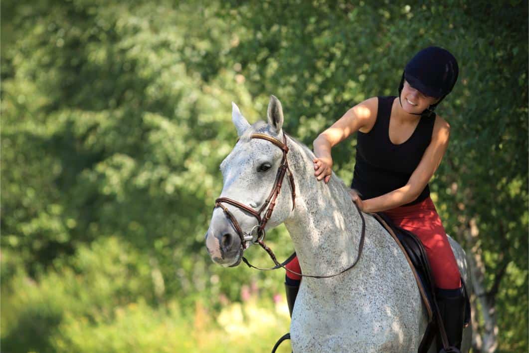 equine hygiene best practices Equine Hygiene Best Practices: Keep Your Horse Clean