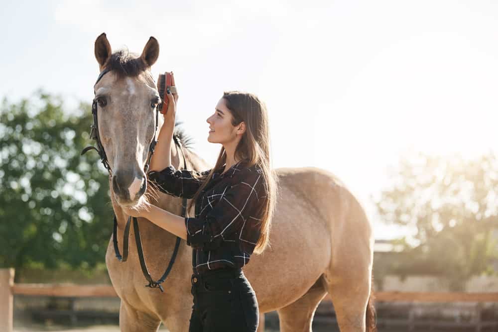 understanding horse body language Understanding Horse Body Language: Decode Equine Signs